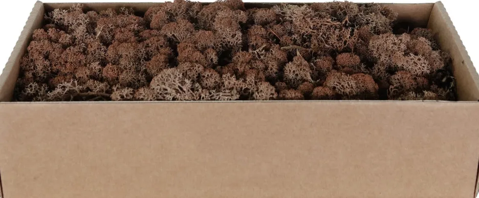 My Village kerstdorp ondergrond rendiermos 500 g bruin 38 x 19 x 9,3 cm