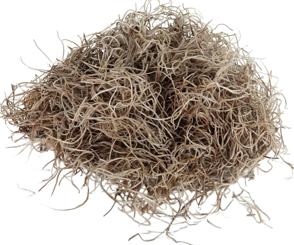 My Village kerstdorp ondergrond Tillandsia mos mat naturel 50g
