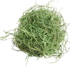 My Village kerstdorp ondergrond Tillandsia mos mat groen 50g