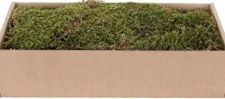 My Village kerstdorp ondergrond Tillandsia mos groen / bruin 500 g
