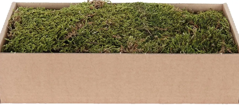 My Village kerstdorp ondergrond Tillandsia mos groen / bruin 500 g