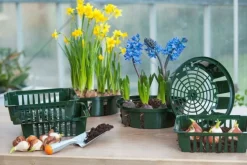Nature bollenplantmand groen 25 x 21 x 7,5 cm 3 stuks