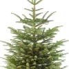 Nordmann kerstboom gezaagd 175 - 200 cm
