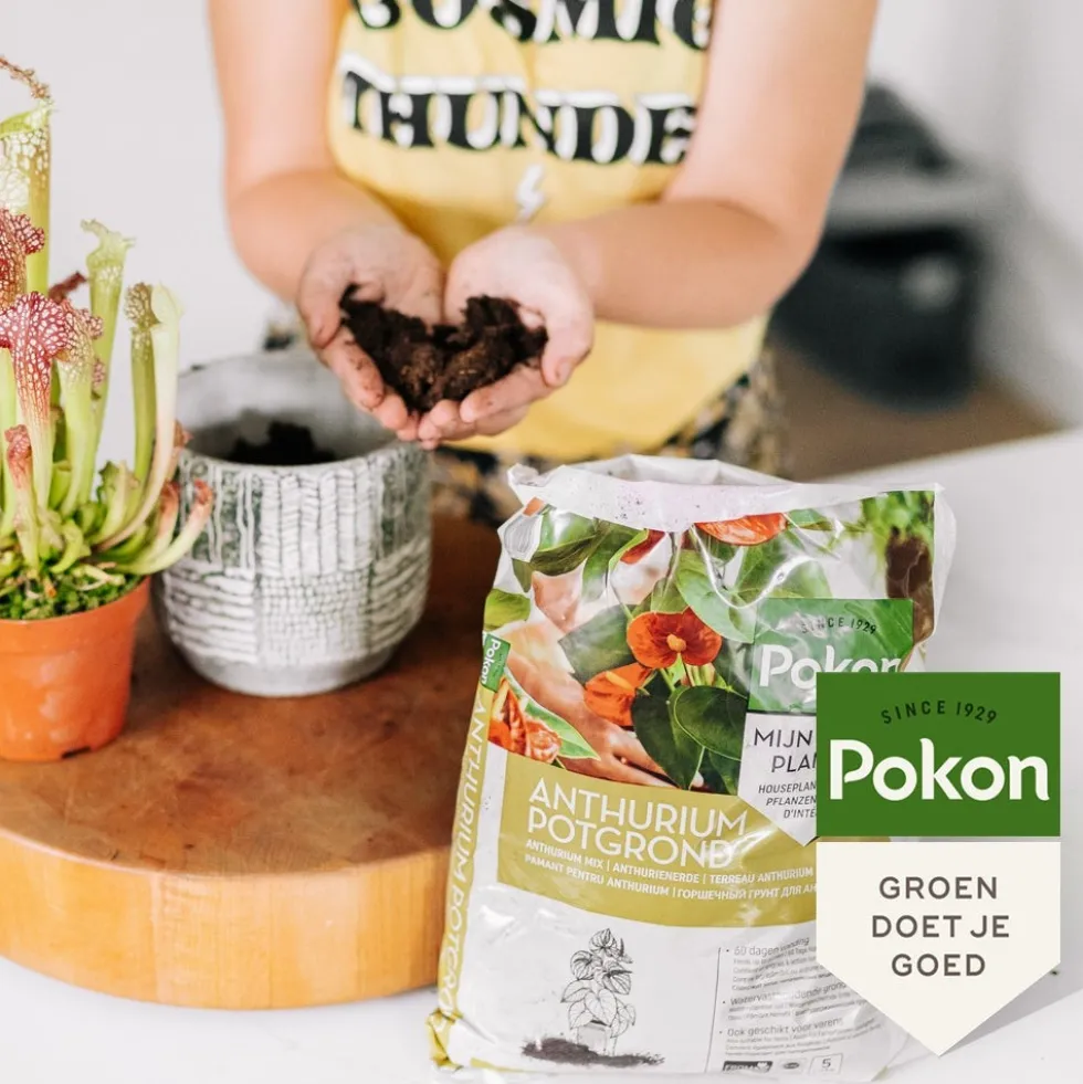 Pokon Anthurium potgrond 5 L