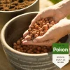 Pokon Hydrokorrels 5 L