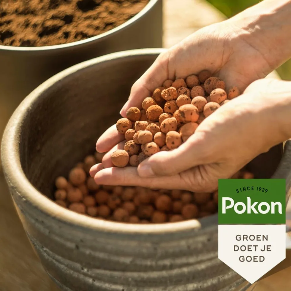 Pokon Hydrokorrels 5 L