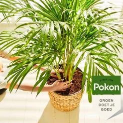 Pokon palmen potgrond 10 L