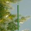 Scentsicles geurstokjes Scented Ornaments snowberry pine 6 stuks