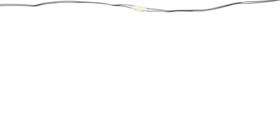 SiD draadverlichting met 50 LED lampjes warm wit 5 m