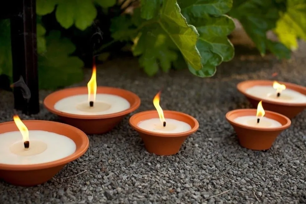 Spaas Citronella Terracotta schaaltje