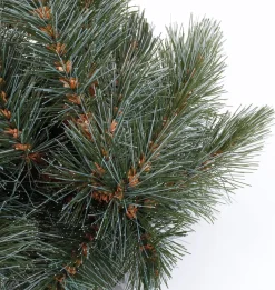 Triumph Tree guirlande Forest frosted besneeuwd 180 cm
