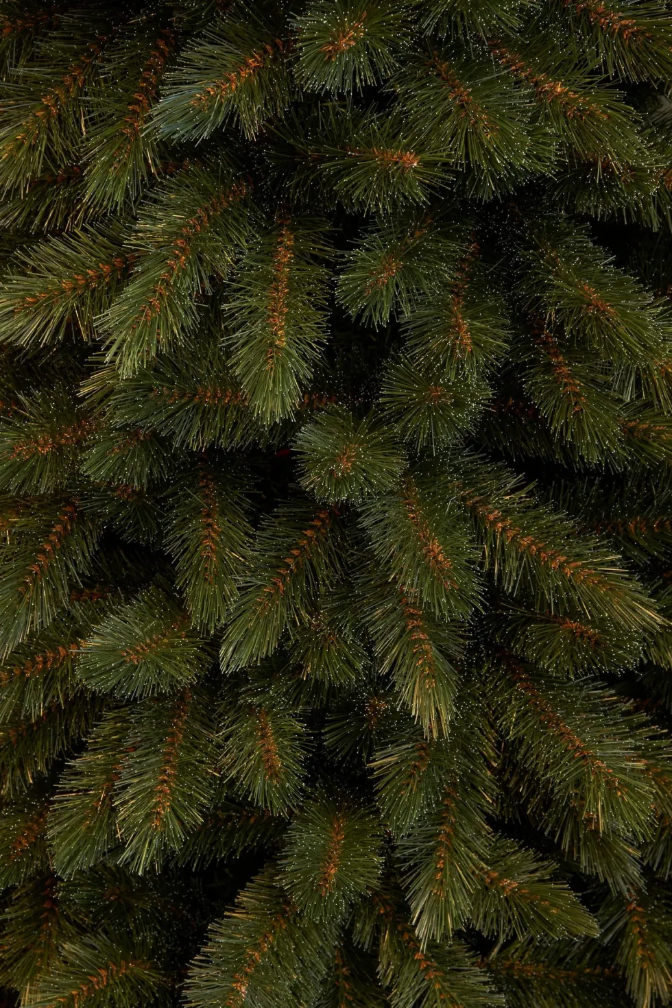 Triumph Tree kunstkerstboom Bristlecone Fir D 79 H 185 cm