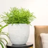 TS bloempot Cas grijs D 39 H 36 cm
