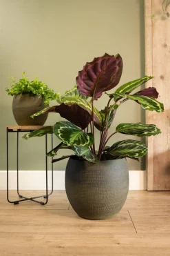 TS bloempot Dex groen D 28 H 25 cm