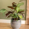TS bloempot Dex wit / grijs D 22 H 20 cm
