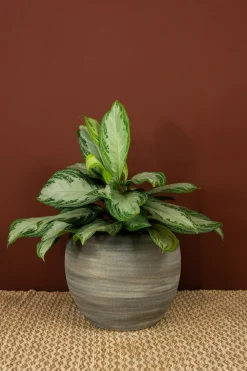TS bloempot Dex wit / grijs D 28 H 25 cm
