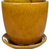TS bloempot met schotel Rico groen D 22 H 20 cm