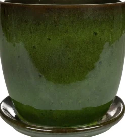 TS bloempot met schotel Rico groen D 22 H 20 cm