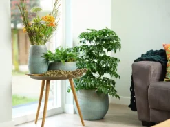 TS bloempot Ryan blauw D 15 H 13 cm