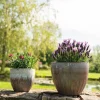 TS Collection bloempot Dyon paars D 27 H 23 cm