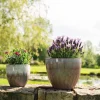 TS Collection bloempot Dyon paars D 22 H 19 cm