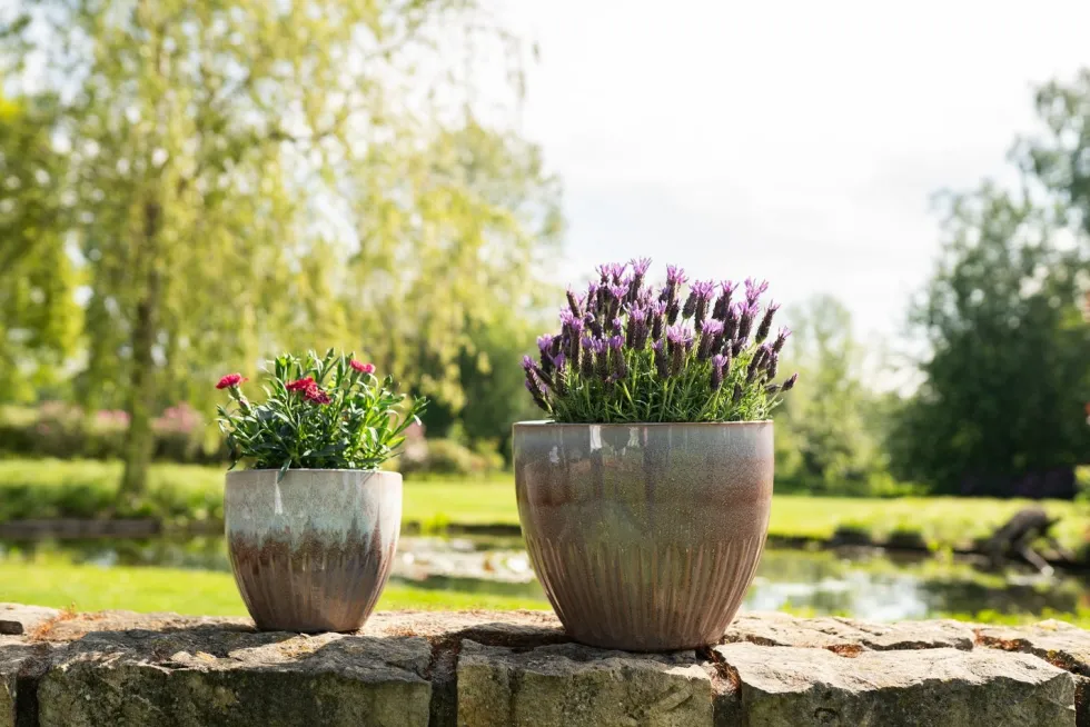 TS Collection bloempot Dyon paars D 22 H 19 cm