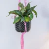 TS plantenhanger macramé roze H 90 cm