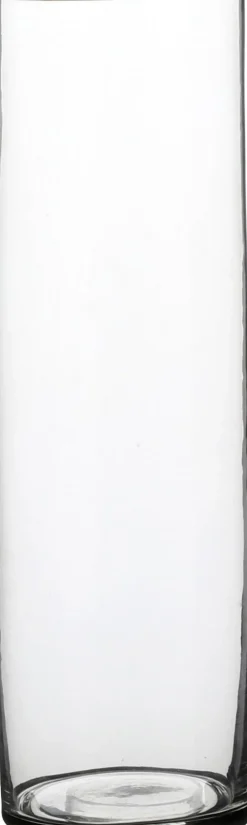 Vaas Carly transparant D 9 H 30 cm