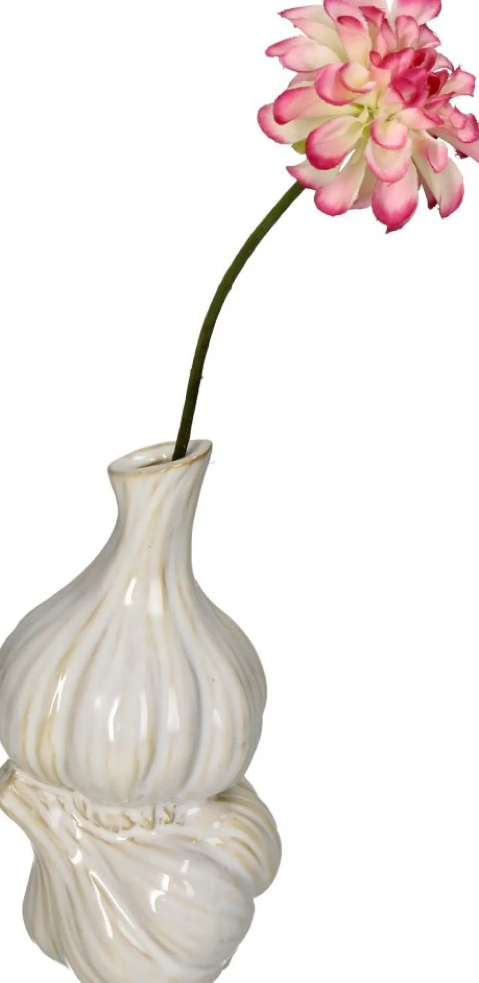 Vaas Cuisine Knoflook wit D 8,6 H 16,8 cm