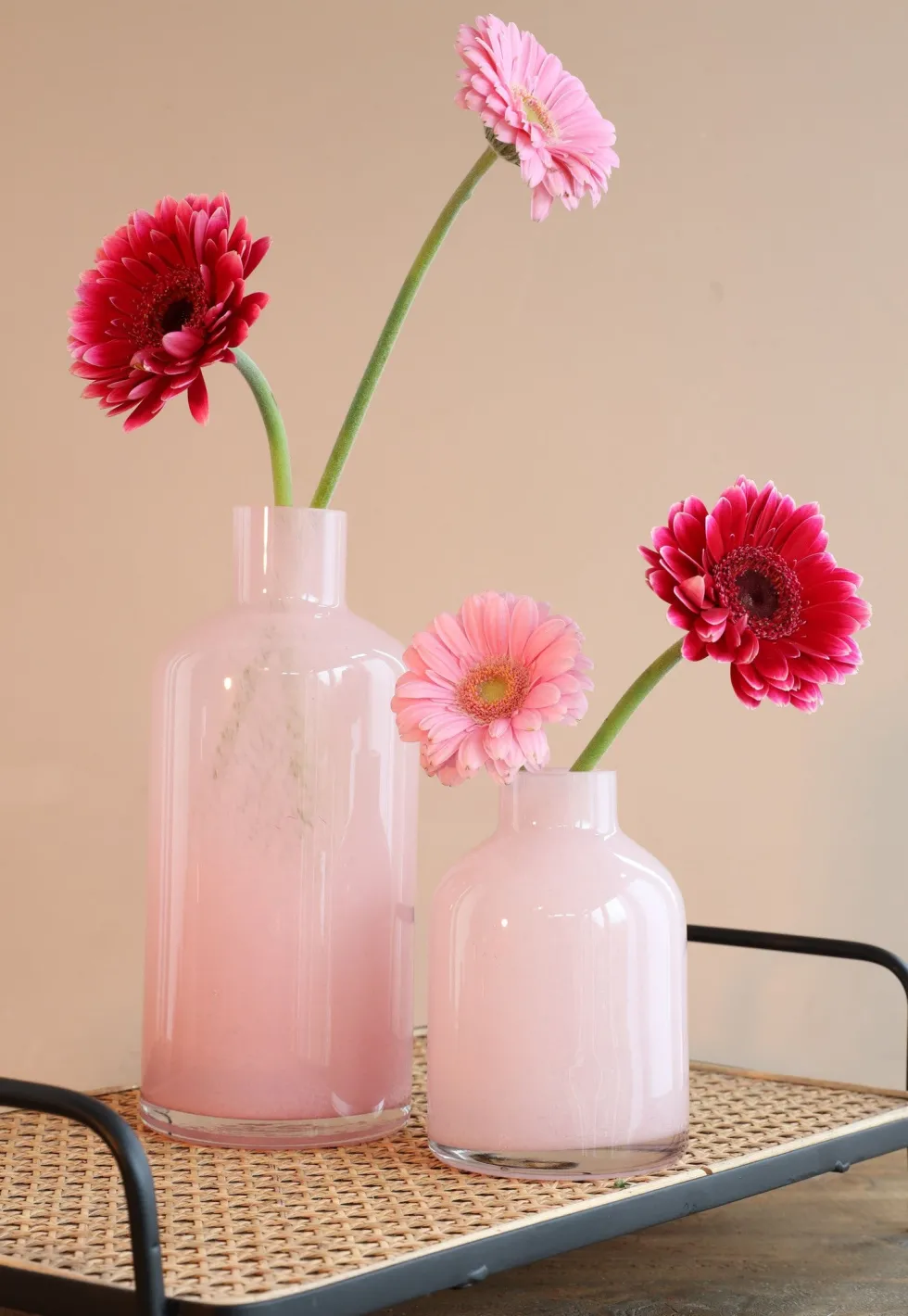 Vaas Lupin roze D 10 H 15 cm