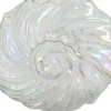 Vaas schelp 11,5 x 28 x 23,5 cm