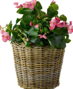 Van der Leeden aardappelmand grijs D 45 H 40 cm