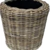 Van der Leeden drymand rotan D 40 H 30 cm