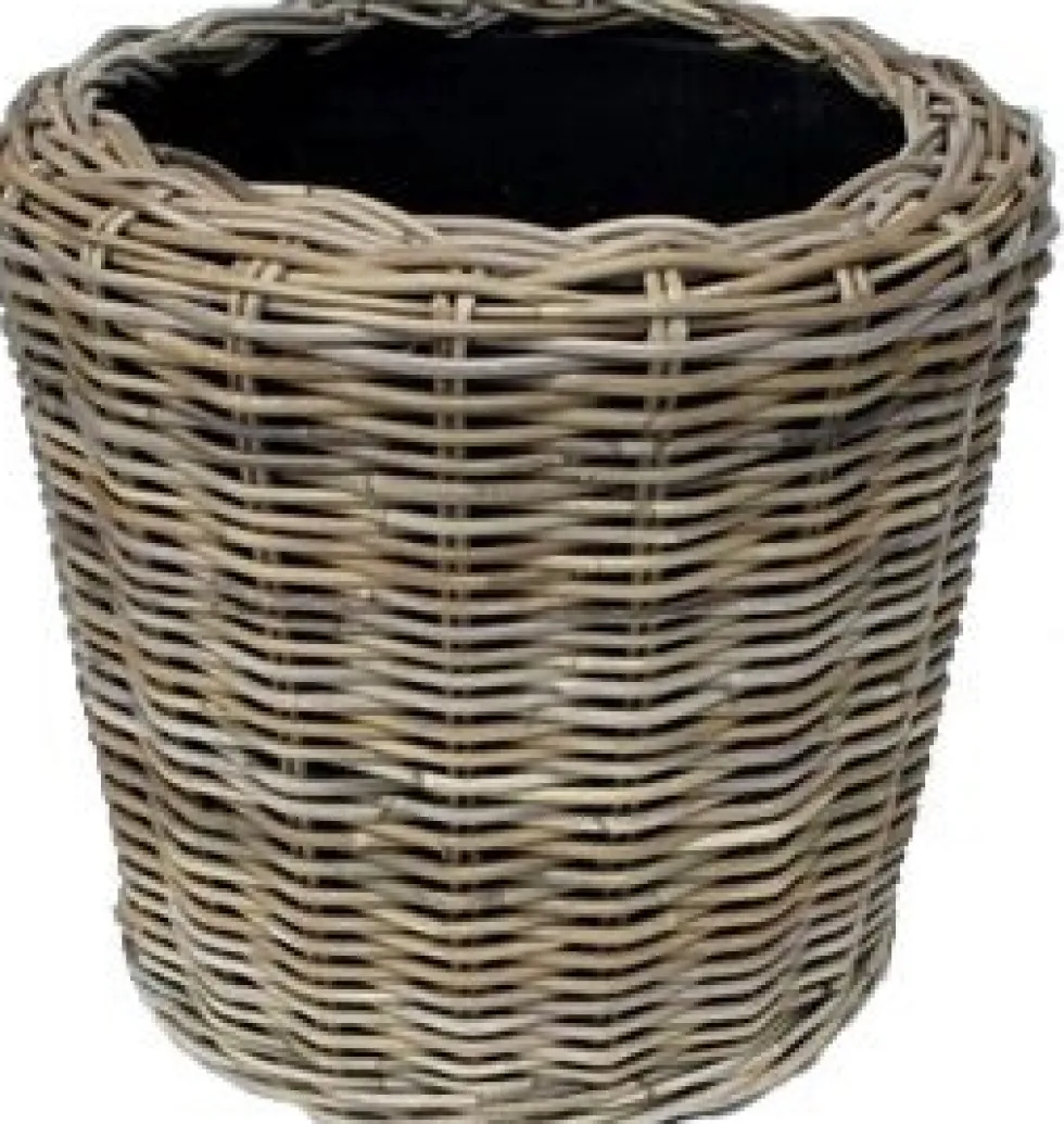 Van der Leeden drymand rotan D 40 H 30 cm